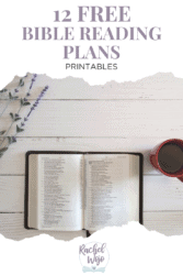 12 Free Bible Reading Plans Anyone Can Use - Rachel Wojo