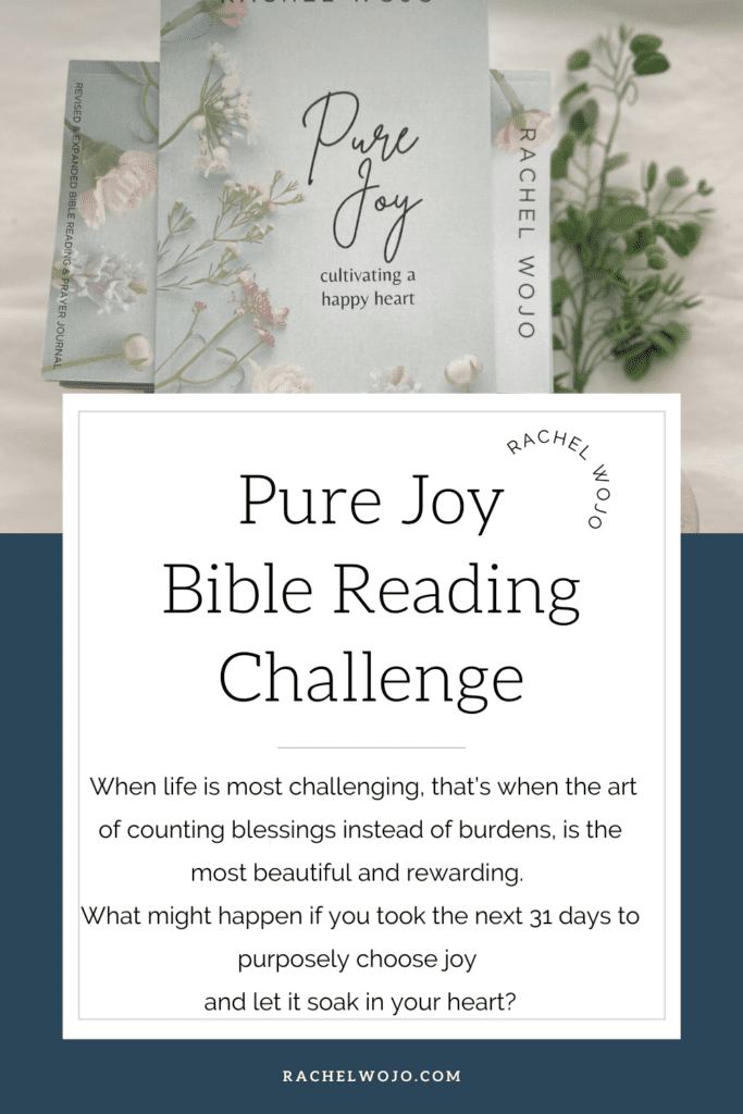 pure joy Bible reading plan and prayer journal 
