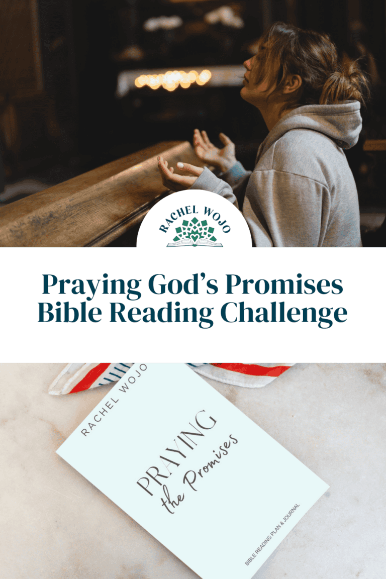 Praying the Promises Bible Reading Plan and Journal