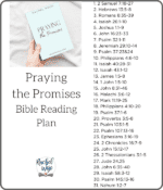 Praying the Promises Bible Reading Plan and Journal - Rachel Wojo