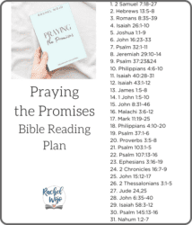 Praying The Promises Bible Reading Plan And Journal - Rachel Wojo