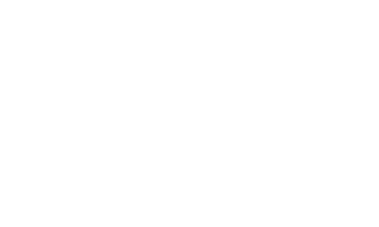 Rachel Wojo