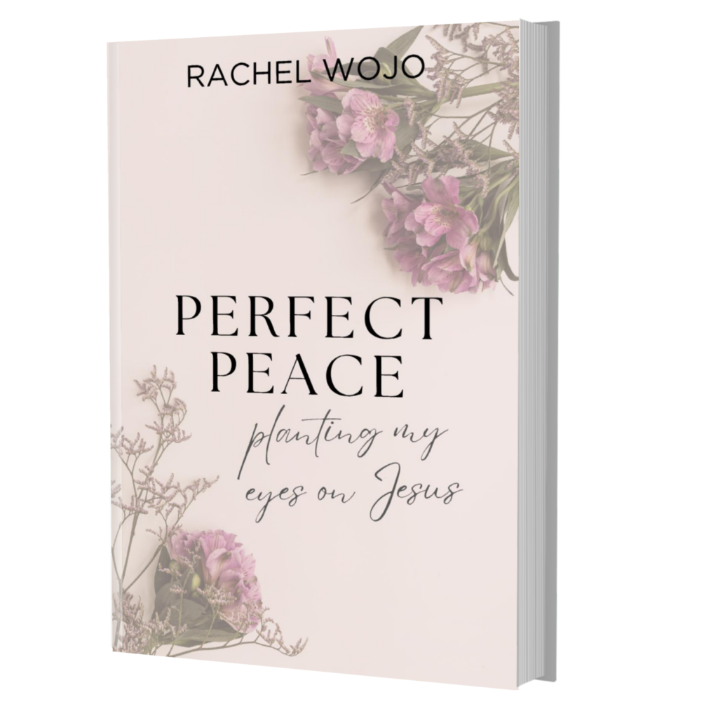 Perfect Peace Bible Reading Plan and Journal